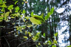 img_6472