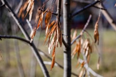 img_6503
