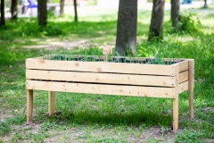День защиты детей отпраздновали в Кашире