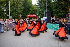 ФЕСТИВАЛЬ АВТОРСКОЙ ПЕСНИ «ПЕЛИКАН»