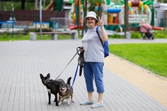 Ко мне, Мухтар! Каширский городской парк