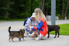 Ко мне, Мухтар! Каширский городской парк