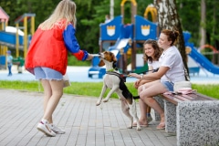 Ко мне, Мухтар! Каширский городской парк