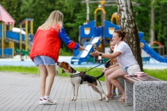 Ко мне, Мухтар! Каширский городской парк