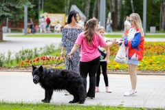 Ко мне, Мухтар! Каширский городской парк