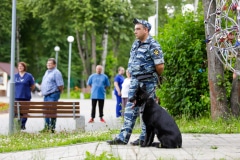 Ко мне, Мухтар! Каширский городской парк