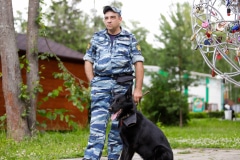 Ко мне, Мухтар! Каширский городской парк