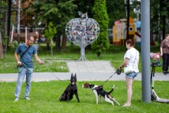 Ко мне, Мухтар! Каширский городской парк