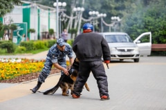 Ко мне, Мухтар! Каширский городской парк
