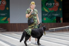Ко мне, Мухтар! Каширский городской парк