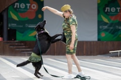 Ко мне, Мухтар! Каширский городской парк