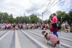 Ко мне, Мухтар! Каширский городской парк