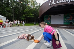 Ко мне, Мухтар! Каширский городской парк