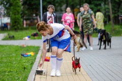 Ко мне, Мухтар! Каширский городской парк