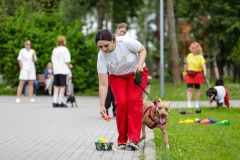Ко мне, Мухтар! Каширский городской парк