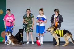 Ко мне, Мухтар! Каширский городской парк