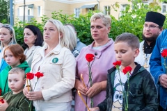 «Огненные картины войны» в Кашире