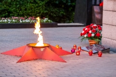 «Огненные картины войны» в Кашире