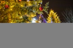 mg_5445