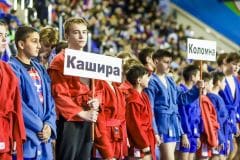 Турнир по борьбе самбо, посвященный памяти Владимира Степановича Навалихина