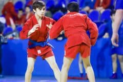 Турнир по борьбе самбо, посвященный памяти Владимира Степановича Навалихина