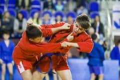 Турнир по борьбе самбо, посвященный памяти Владимира Степановича Навалихина