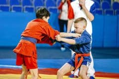 Турнир по борьбе самбо, посвященный памяти Владимира Степановича Навалихина