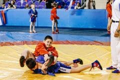 Турнир по борьбе самбо, посвященный памяти Владимира Степановича Навалихина