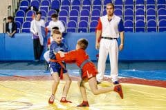 Турнир по борьбе самбо, посвященный памяти Владимира Степановича Навалихина