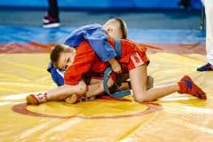 Турнир по борьбе самбо, посвященный памяти Владимира Степановича Навалихина