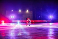 Звезды российского фигурного катания в Кашире